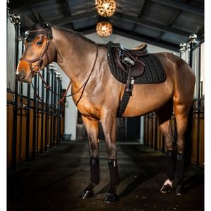 product/h/o/horseware_dera01-k000-ch_black_3.jpg