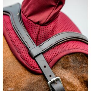 product/h/o/horseware_dera01-rrr0-ch_mulberry_2.jpg