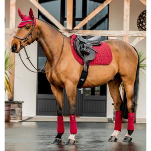 product/h/o/horseware_dera01-rrr0-ch_mulberry_3.jpg