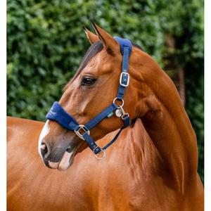 dhham0-b000-co-licol-fourrure-pour-cheval-horseware-signature-navy