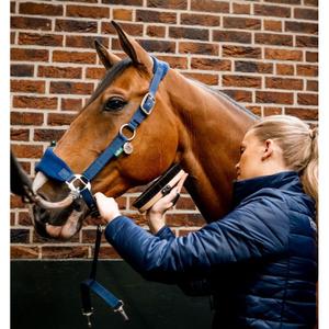 product/h/o/horseware_dhham0-b000-co_navy_2.jpg