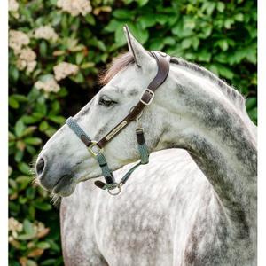 product/h/o/horseware_dhhmm0-nbd0-co_brown-navy-blue-haze_1.jpg
