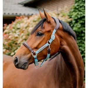 dhhmm1-nd00-co-licol-cuir-pour-cheval-horseware-signature-brown-blue-haze