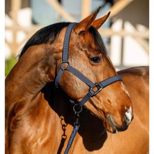 dhrx01-b000-co-ensemble-licol-et-longe-pour-cheval-horseware-amigo-navy