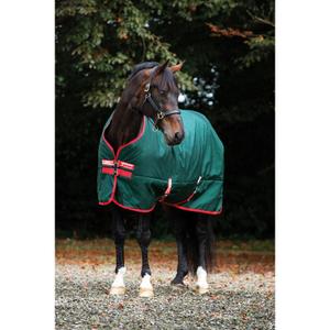product/h/o/horseware_hwaaaaa1grre.jpg