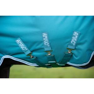product/h/o/horseware_hwaarw72graq56_green-aqua_5.jpg