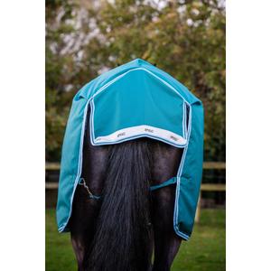 product/h/o/horseware_hwaarw72graq56_green-aqua_6.jpg
