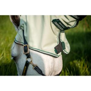 product/h/o/horseware_hwafap70grsa_mag3838926_9.jpg