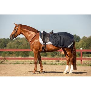 product/h/o/horseware_hwagpc90na.jpg