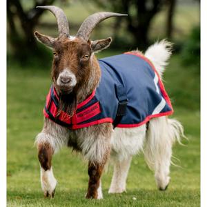 product/h/o/horseware_rahrc2-br00-la_navy-red_1.jpg