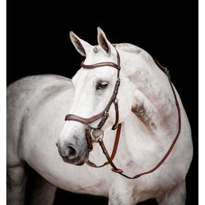 product/h/o/horseware_sbmom0-nab0-lc_dark-havana_1.jpg