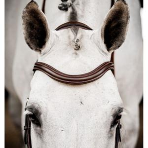 product/h/o/horseware_sbmum0-nab0_1.jpg