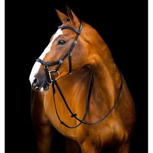 sbmum2-k000-bridons-equitation-avec-renes-en-caoutchouc-horseware-micklem-2-deluxe-black
