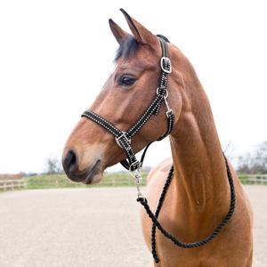 22219-099-ensemble-licol-et-longe-pour-cheval-horze-cooper-black