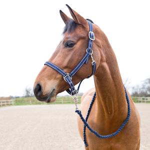 22219-590-ensemble-licol-et-longe-pour-cheval-horze-cooper-peacoat-dark-blue