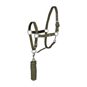 22289-670-ensemble-licol-et-longe-pour-cheval-horze-chicago-cyrpess-green-loden-green