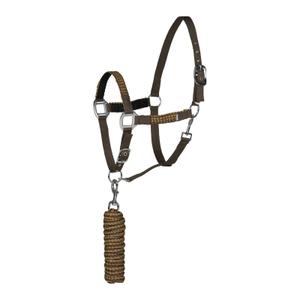 22289-780-ensemble-licol-et-longe-pour-cheval-horze-chicago-brown-canteen-medal-bronze