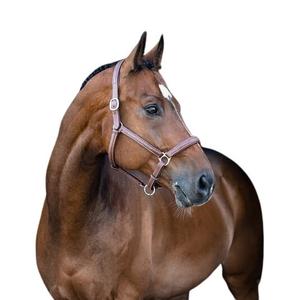 product/h/o/horze_22294lbr_2.jpg