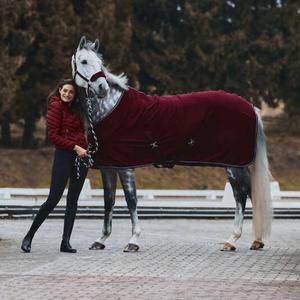 product/h/o/horze_22301dre_4.jpg