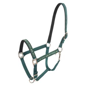 1601093600-6130-licol-pour-cheval-hv-polo-nena-duck-green