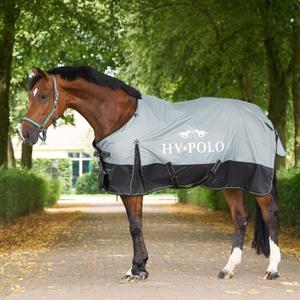 product/h/v/hv-polo_2402093650-6129_greenery_1.jpg