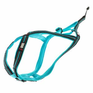 i05b4xs-harnais-pour-chien-i-dog-canicross-x-baxk-bleu