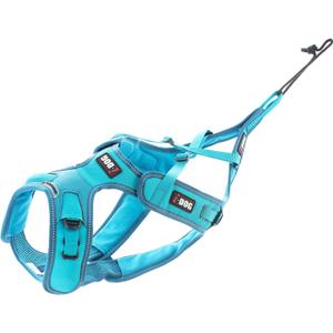 i06bl-harnais-pour-chien-reglable-i-dog-x-back-phoenix-alm-bleu