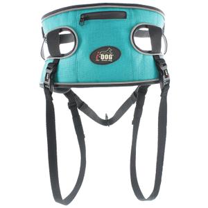product/i/-/i-dog_i13b_bleu_3.jpg