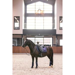 product/i/m/imperial-riding_ba20322000-5001_5.jpg