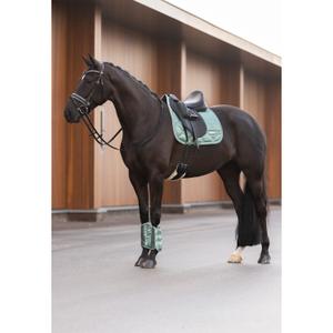 product/i/m/imperial-riding_be10122000-6036_3.jpg