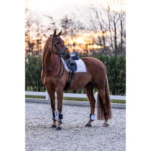 product/i/m/imperial-riding_be10322001-0000_3.jpg