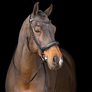 te40125000-9514-bridon-d-equitation-avec-muserolle-anglaise-equitation-imperial-riding-black-black