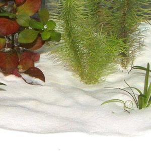product/j/b/jbl-aqua_jb1338_snow_2.jpg