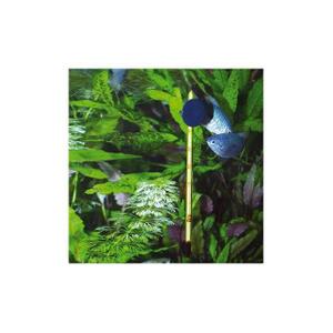 product/j/b/jbl-aqua_jb462_transparent_2.jpg