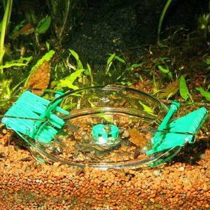 product/j/b/jbl_jb1120_transparent_2.jpg