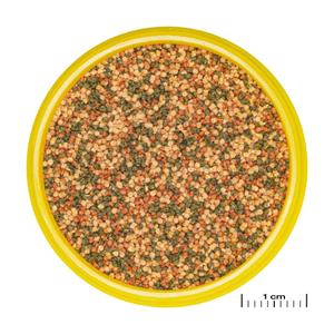 product/j/b/jbl_jb311200_marron-verte_1.jpg