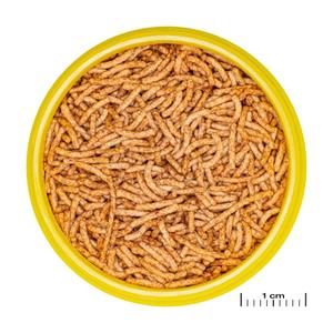 product/j/b/jbl_jb311800_marron_1.jpg