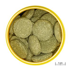jb313380-alimentation-pour-poisson-jbl-pronovo-pleco-wafer-xl-vert-250-ml