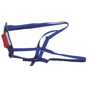 108605-harnais-marqueur-en-nylon-pour-belier-kamer-bleu-tu
