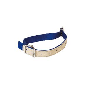 121152006-collier-pour-ovins-en-nylon-kamer-bleu-65x2-5-cm