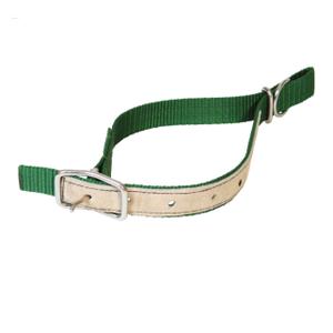 121152008-collier-pour-ovins-en-nylon-kamer-vert-65x2-5-cm