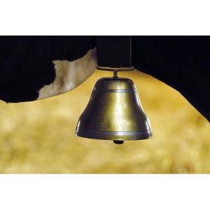 product/k/a/kamer_121805105_bronze_2.jpg