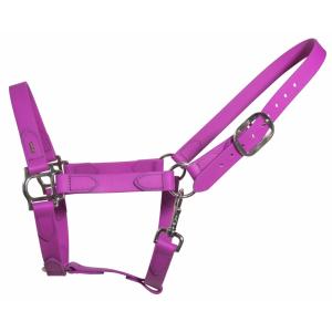 k325-pur-chr-licol-pour-cheval-karlslund-purple-chrome-36x27x5-cm