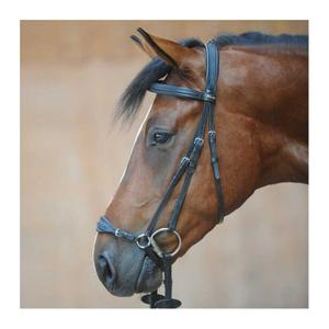0190371150200-bridons-equitation-kavalkade-levana-black