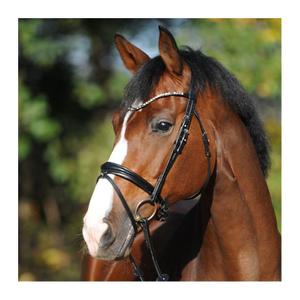 0190441-bridons-equitation-kavalkade-reyna-kavalsh4-noir