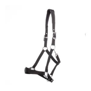 0290191050200-licol-pour-cheval-kavalkade-perlon-classic-simple-schwarz