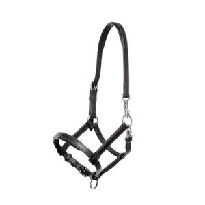 0291070850213-licol-pour-poulain-cuir-kavalkade-schwarz-silber