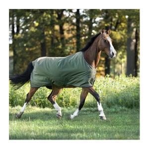 0467121252800-couverture-d-exterieur-pour-cheval-kavalkade-montreal-100g-geen