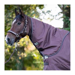 0467401350300-couvre-cou-d-equitation-kavalkade-montreal-100g-brown