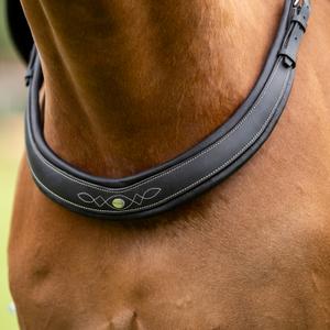 product/k/a/kavalkade_168021350202_black-black_2.jpg